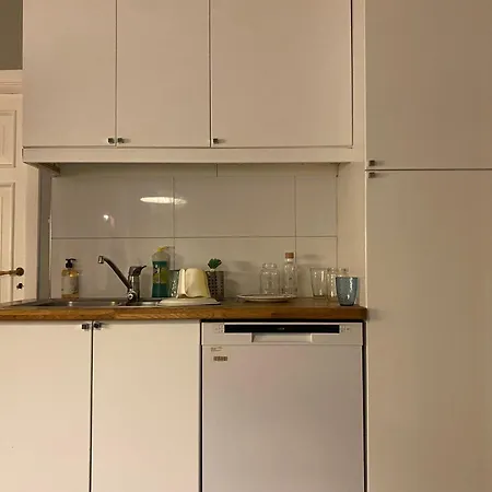 In Central, Spacious Oslo
